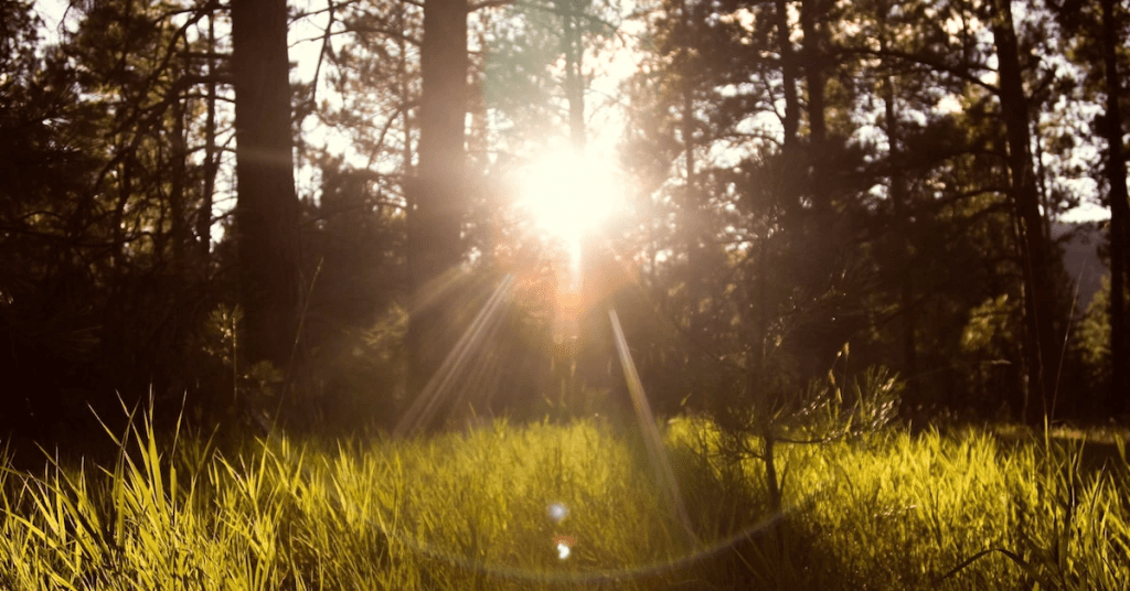 ज़रा-सी मानवता